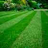 Beaver's Landscape & Maintenance
