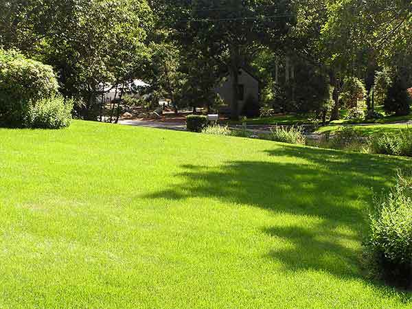 Beaver's Landscape & Maintenance