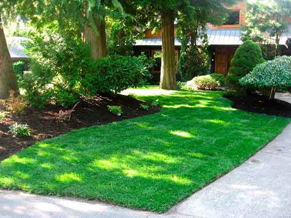 Beaver's Landscape & Maintenance