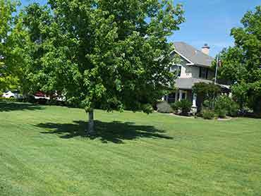 Beaver's Landscape & Maintenance - Our Works