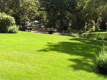 Beaver's Landscape & Maintenance - Our Works