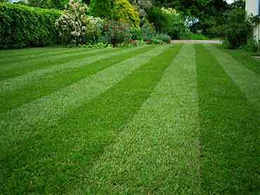 Beaver's Landscape & Maintenance - Our Works