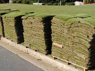 Beaver's Landscape & Maintenance - Our Works