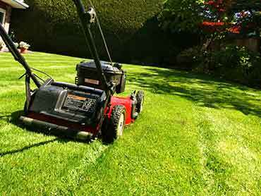 Beaver's Landscape & Maintenance - Our Works