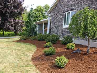Beaver's Landscape & Maintenance - Our Works
