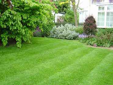 Beaver's Landscape & Maintenance - Our Works
