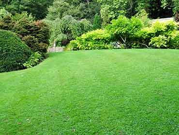 Beaver's Landscape & Maintenance