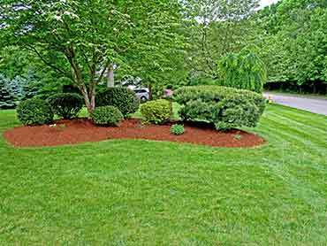 Beaver's Landscape & Maintenance - Our Works