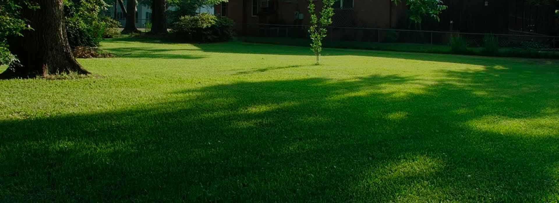 Beaver's Landscape & Maintenance