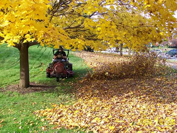 Beaver's Landscape & Maintenance